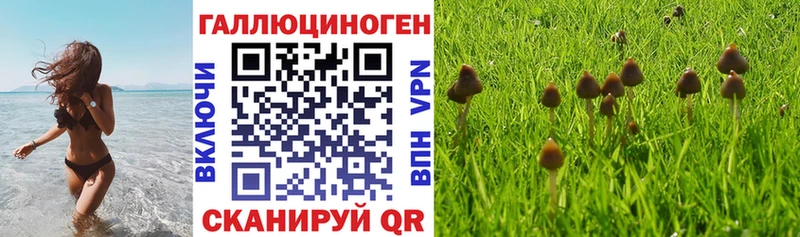 мориарти формула  Алейск  Галлюциногенные грибы мухоморы  продажа наркотиков 