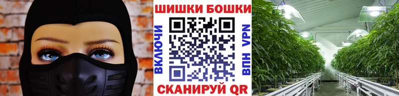 где продают наркотики Алейск Канабис MAZAR